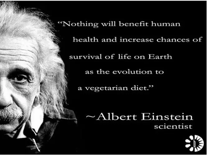 Albert_Einstein_Quote_Graphic